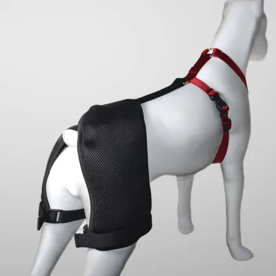 Classic Dog Hip Dysplasia Brace 02