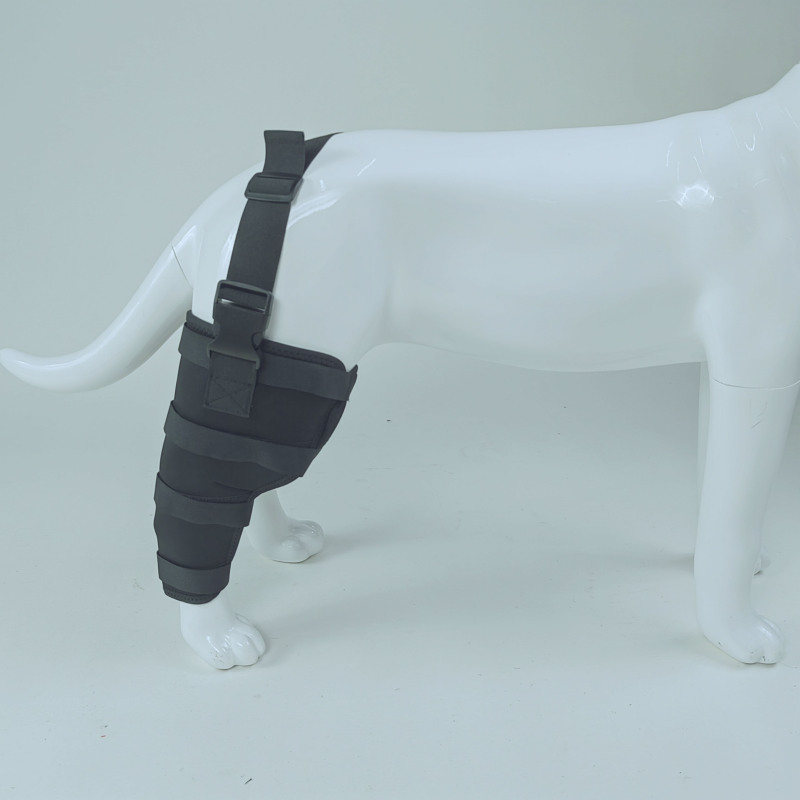 Classic Dog Single Rear Leg Brace Red