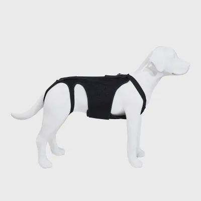 Dog Support Vest 02