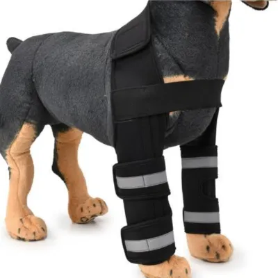 Reflective and Supportive Strips Dog Front Leg Arthritis Brace Black 01