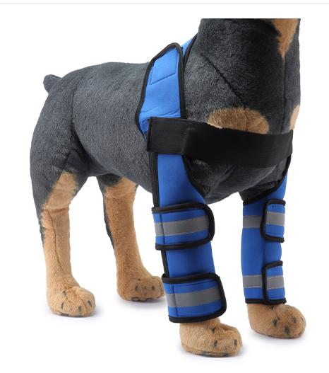 Reflective and Supportive Strips Dog Front Leg Arthritis Brace Blue