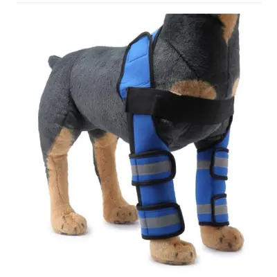 Reflective and Supportive Strips Dog Front Leg Arthritis Brace Blue 01