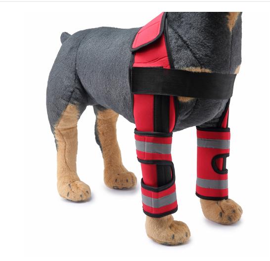Reflective and Supportive Strips Dog Front Leg Arthritis Brace Red