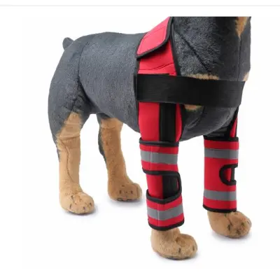 Reflective and Supportive Strips Dog Front Leg Arthritis Brace Red 01