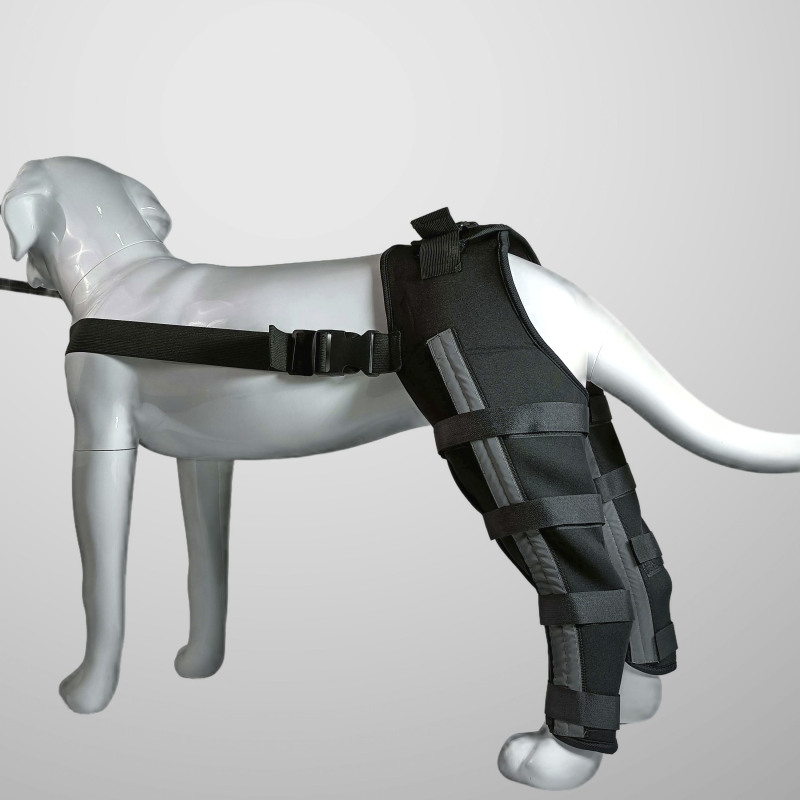 Reflective and Supportive Strips Dog Hind Leg Arthritis Brace Black