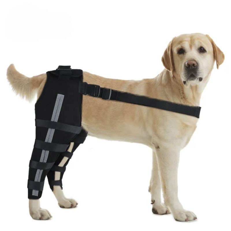 Reflective and Supportive Strips Dog Hind Leg Arthritis Brace Black