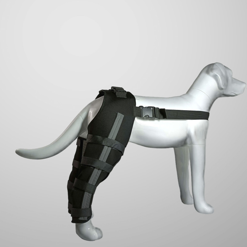 Reflective and Supportive Strips Dog Hind Leg Arthritis Brace Black