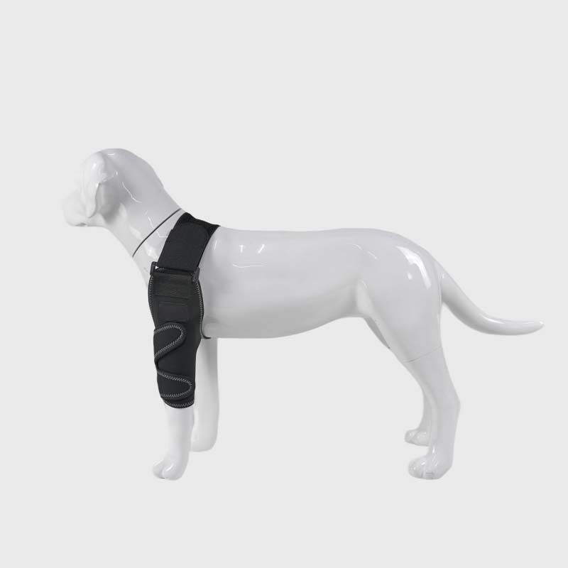 Classic Upgrade Dog Elbow Arthritis Brace