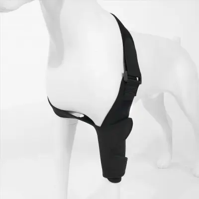 Classic Upgrade Dog Elbow Arthritis Brace 02