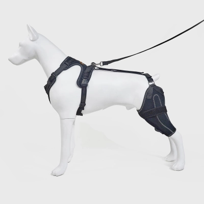 Classic Upgrade Dog Knee Brace with Hinge Black 01