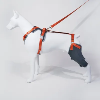 Classic Upgrade Dog Knee Brace with Hinge Gray 01