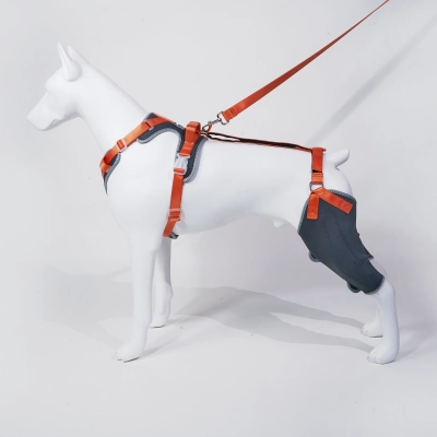 Classic Upgrade Dog Knee Brace with Hinge Gray 01