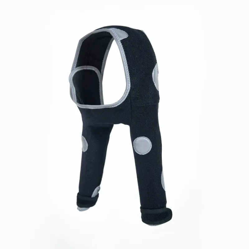 Dog Anti-Lick Sleeve