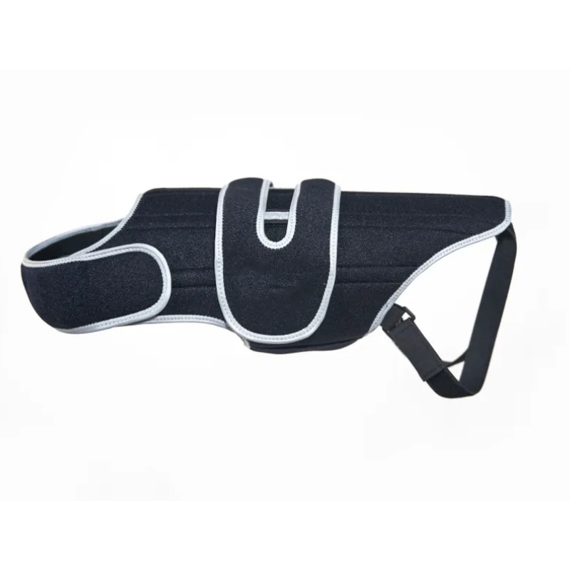 Dog IVDD Brace