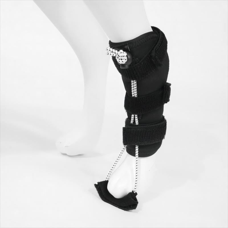 Rear Leg Adjustable Toe-Training Socks for Dogs
