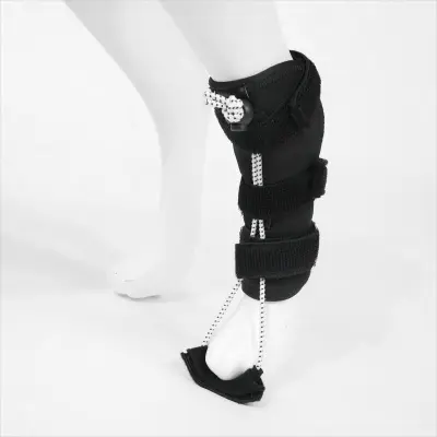 Rear Leg Adjustable Toe-Training Socks for Dogs 01