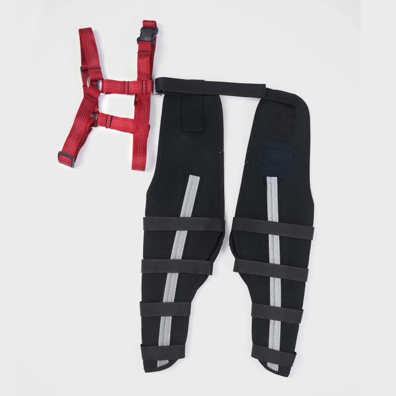 Webbing Design with Reflective and Supportive Dog Hind Leg Arthritis Brace