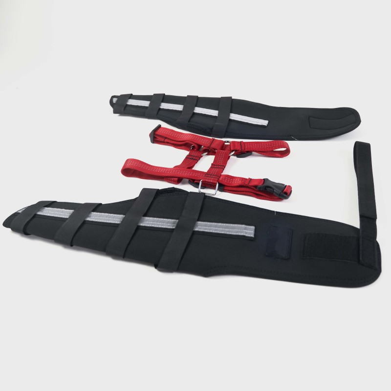 Webbing Design with Reflective and Supportive Dog Hind Leg Arthritis Brace