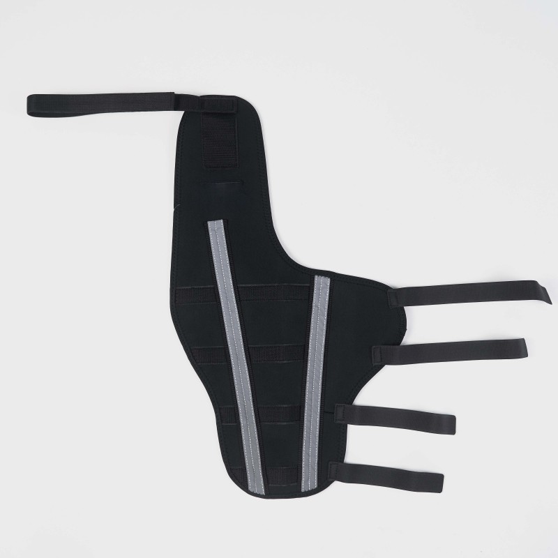 Webbing Design with Reflective and Supportive Dog Hind Leg Arthritis Brace