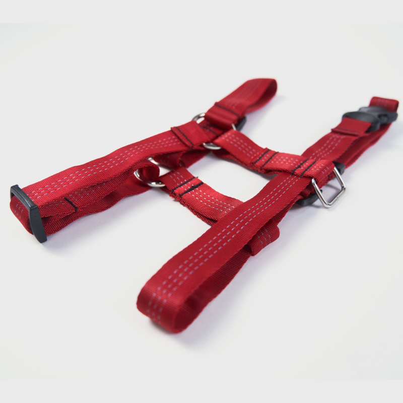 Webbing Design with Reflective and Supportive Dog Hind Leg Arthritis Brace