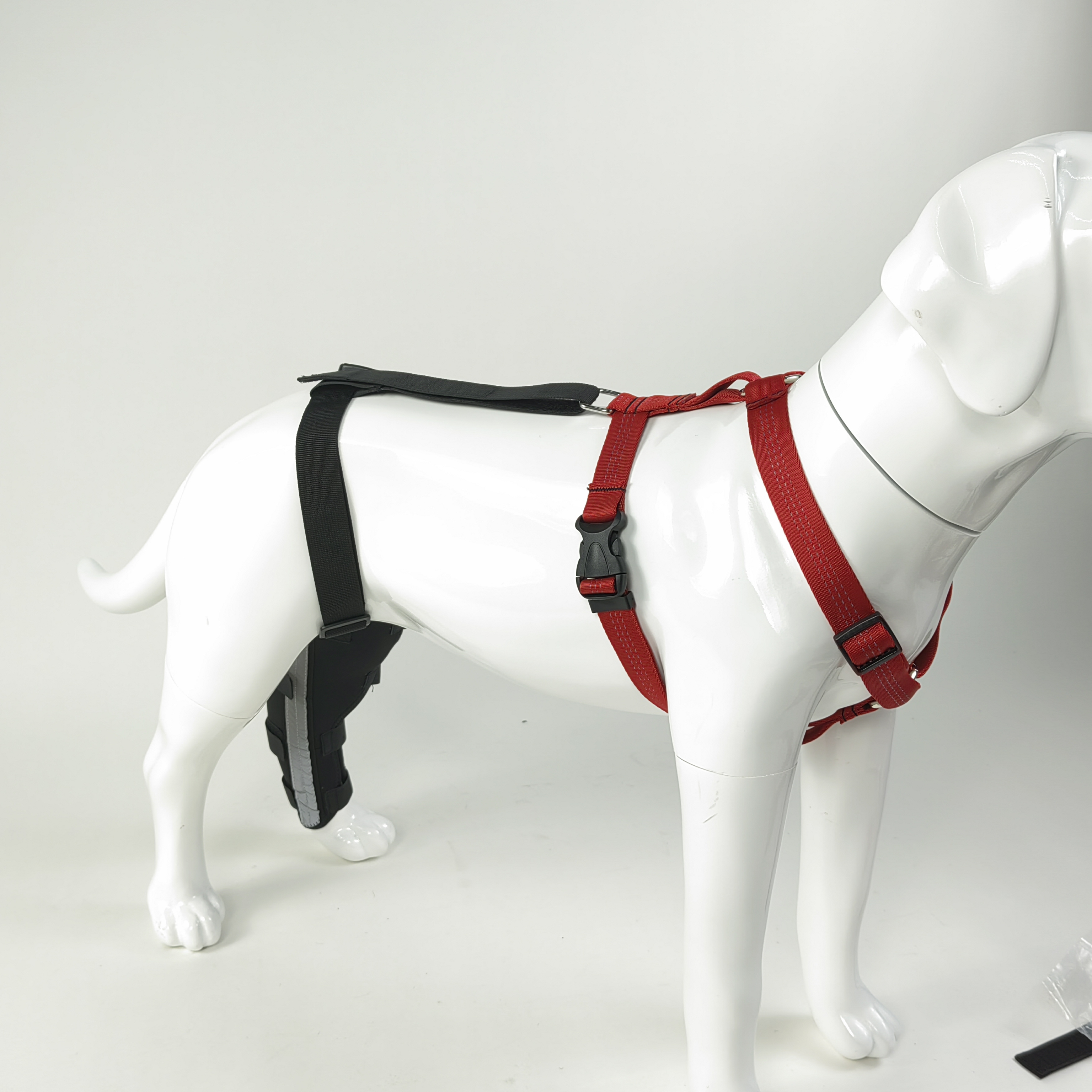 Webbing Design with Reflective and Supportive Dog Hind Leg Arthritis Brace Single Leg