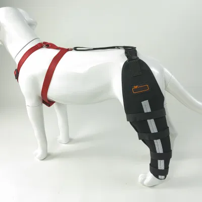 Webbing Design with Reflective and Supportive Dog Hind Leg Arthritis Brace Single Leg 02