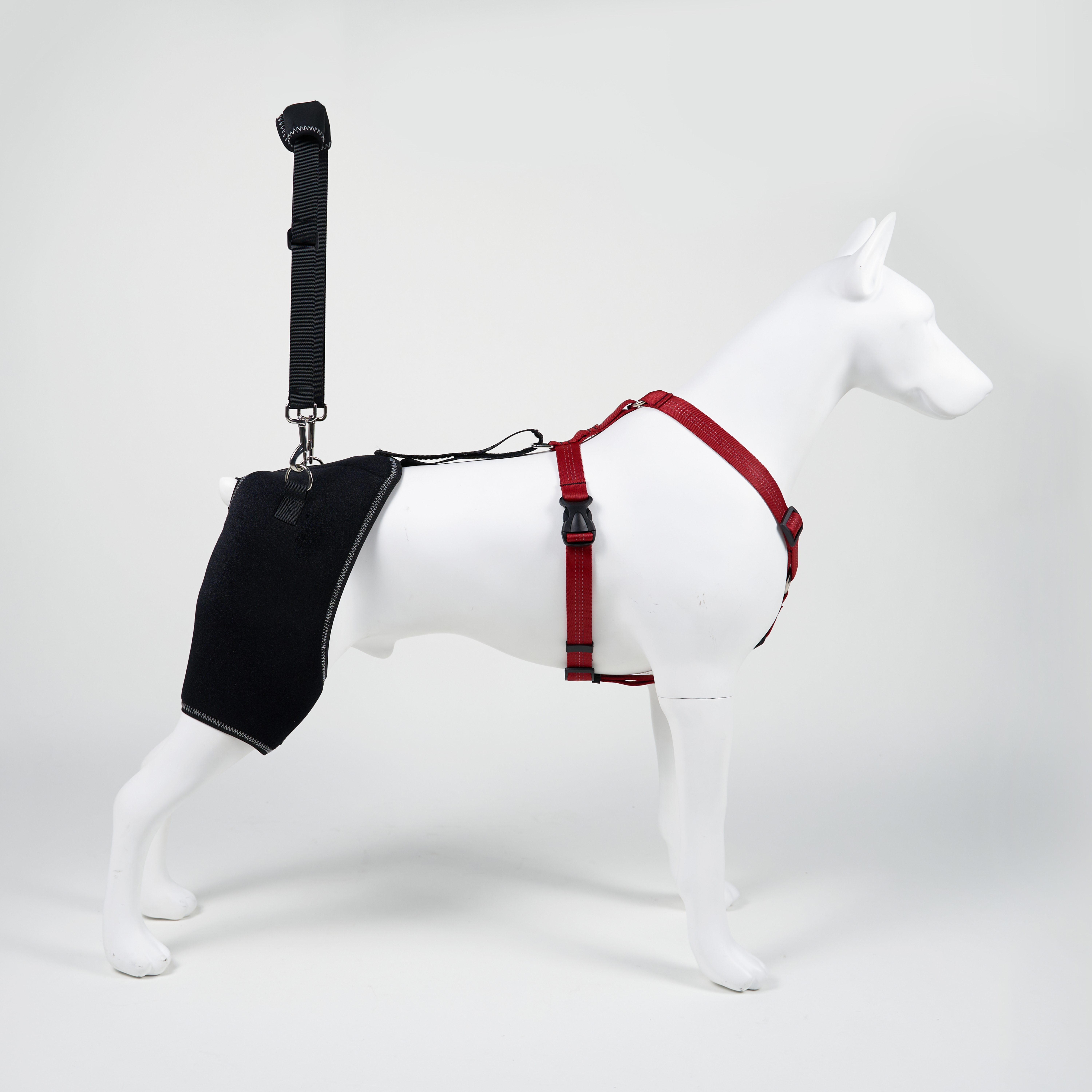 Webbing Handle Design Dog Hip Dysplasia Brace