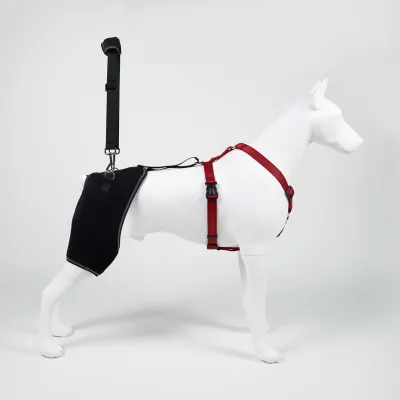 Webbing Handle Design Dog Hip Dysplasia Brace 01