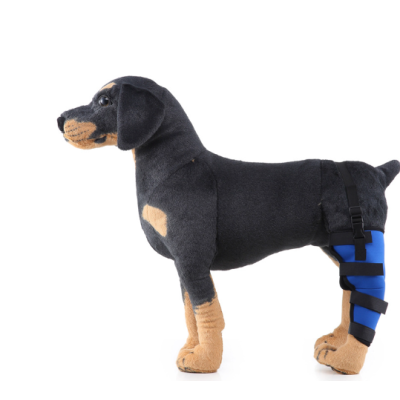 Classic Dog Single Rear Leg Brace Blue 01