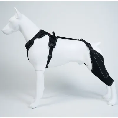 Classic Upgrade Dog Knee Brace with Hinge Single Leg 01