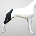 Dog Adjustable Patellar Angle Knee Brace