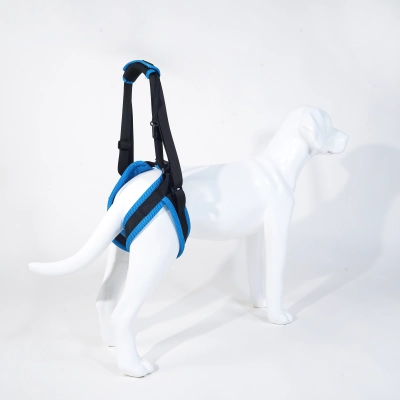 Dog Lift Support for Hind Legs 02