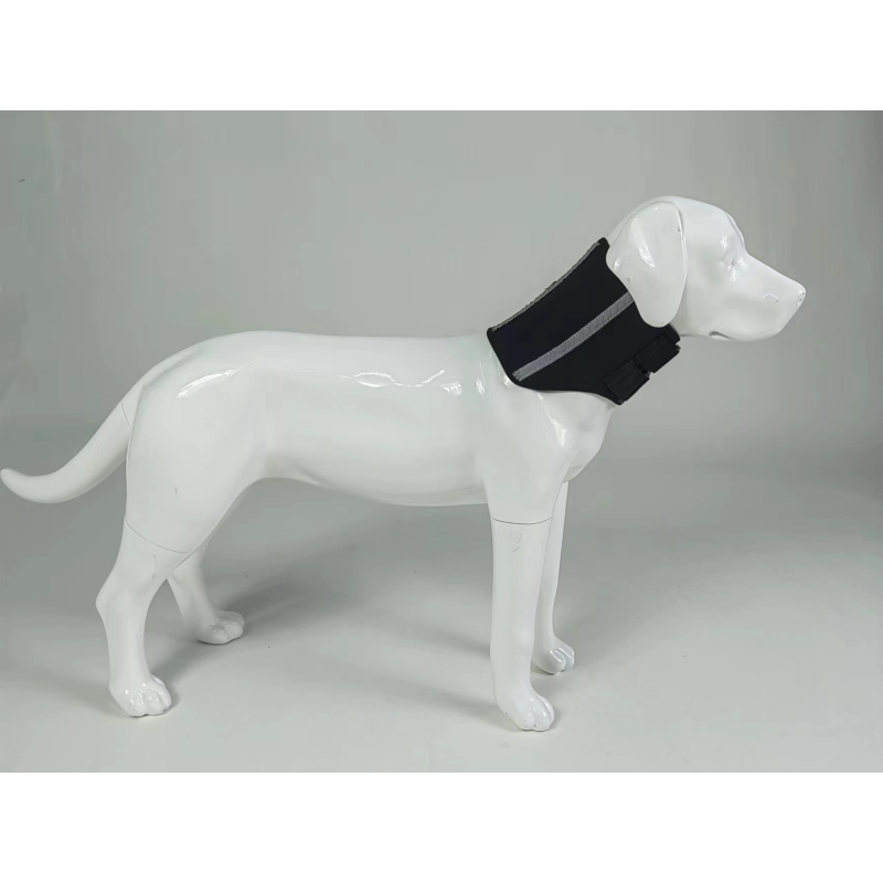 Dog Neck Brace After Surgery
