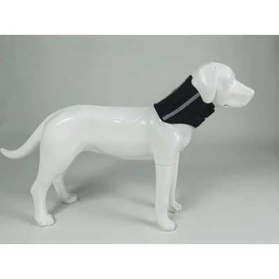 Dog Neck Brace After Surgery 02
