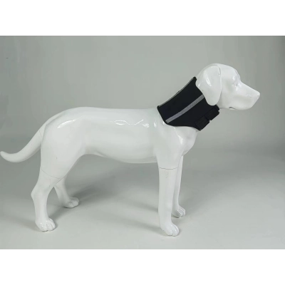 Dog Neck Brace After Surgery 02