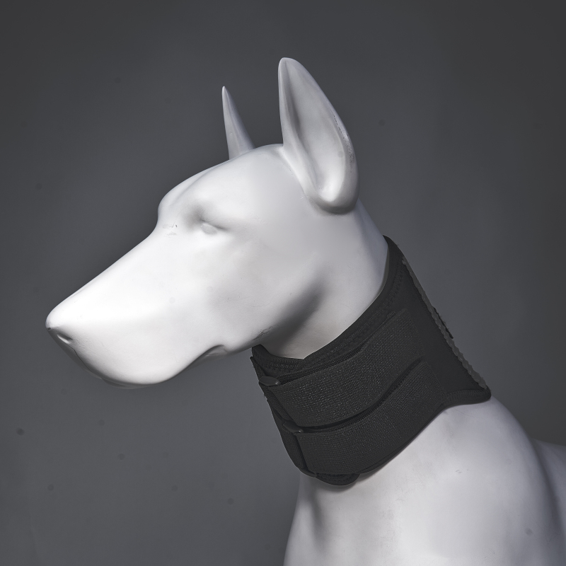 Dog Neck Brace After Surgery