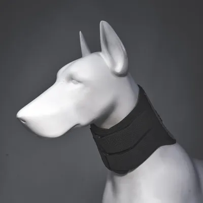 Dog Neck Brace After Surgery 01