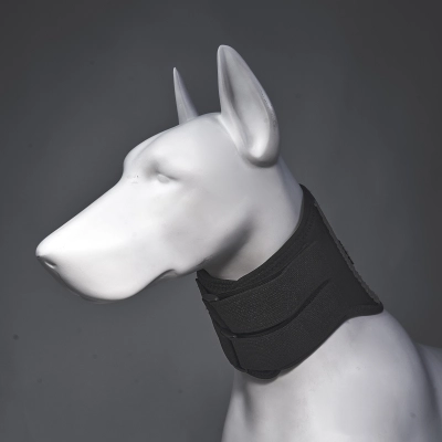 Dog Neck Brace After Surgery 01