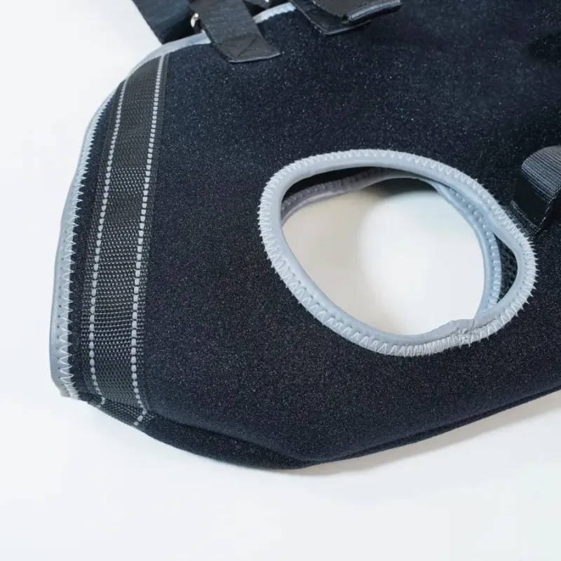 Dog Full Body Dog Lifting Harness