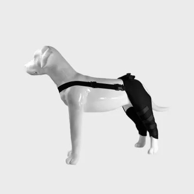 Classic Dog Hind Leg Arthritis Brace Black 02
