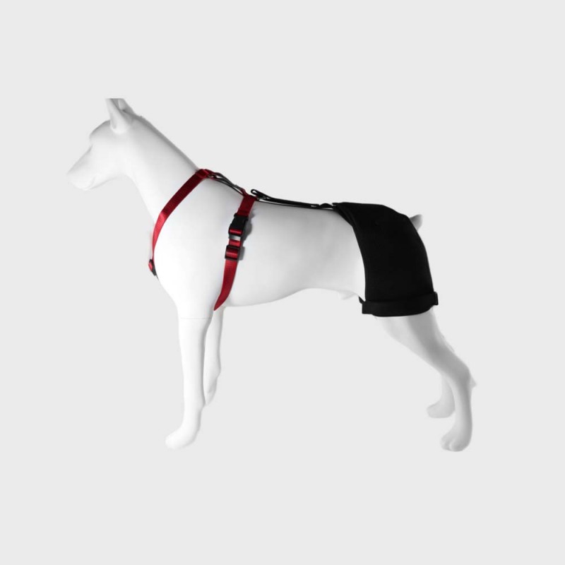 Classic Dog Hip Dysplasia Brace