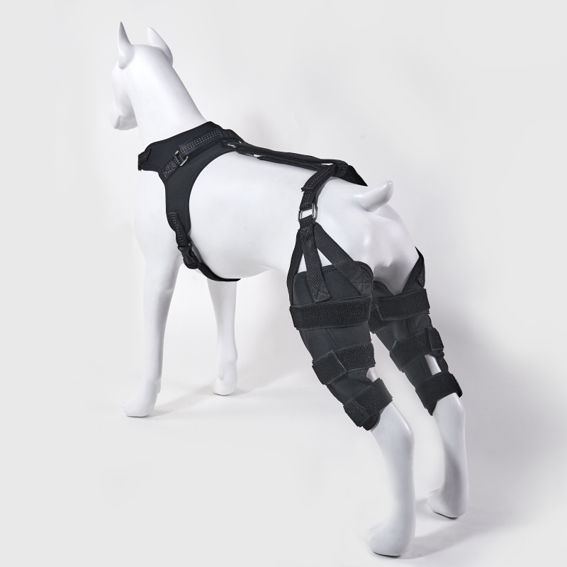 Classic Dog Knee Brace with Hinge
