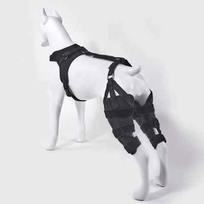 Classic Dog Knee Brace with Hinge 01
