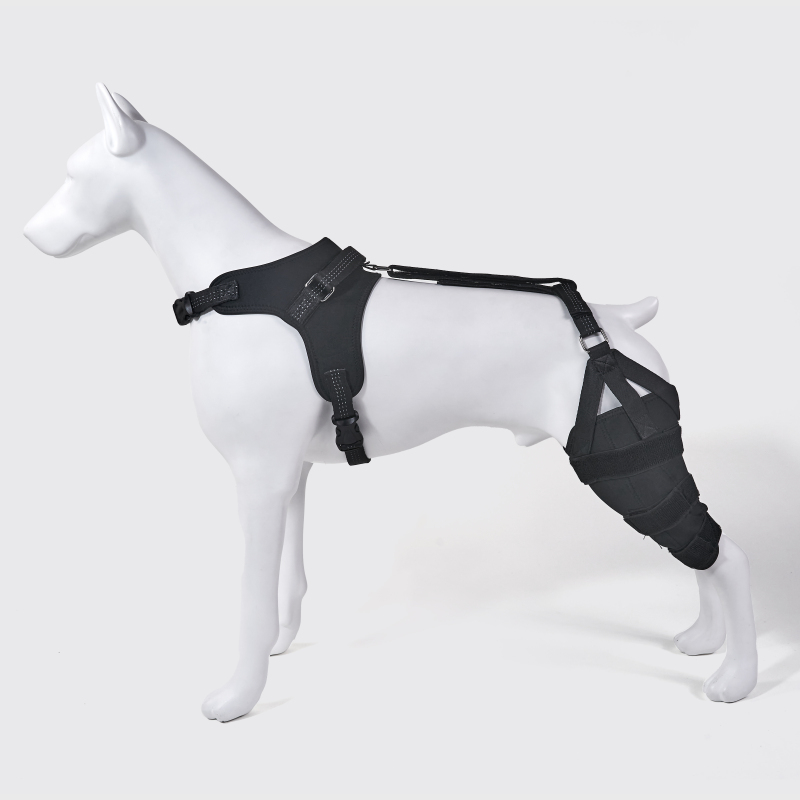 Classic Dog Knee Brace with Hinge