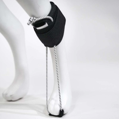 Rear Leg Toe Fracture Brace for Dogs 01