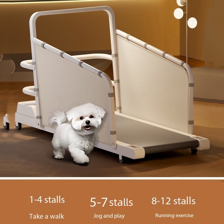 Pet Exercise Bichon Teddy Corgi Small and Medium Cat and Dog Treadmill