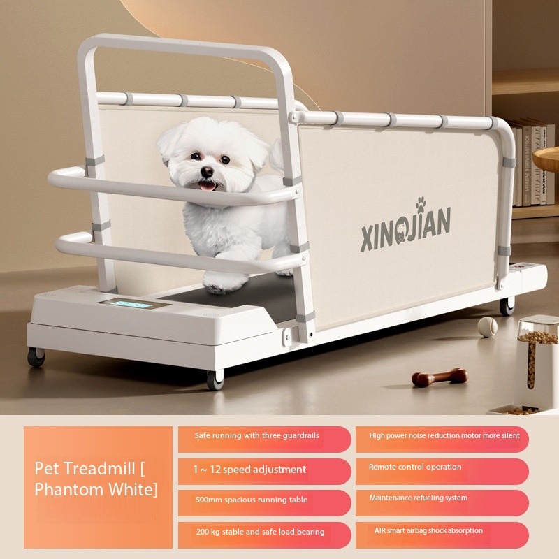 Pet Exercise Bichon Teddy Corgi Small and Medium Cat and Dog Treadmill