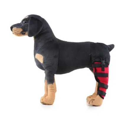Classic Dog Single Rear Leg Brace Red 01