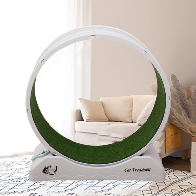 Big Cat Treadmill Wheel: Ultimate Cat Exercise & Running Machine 01