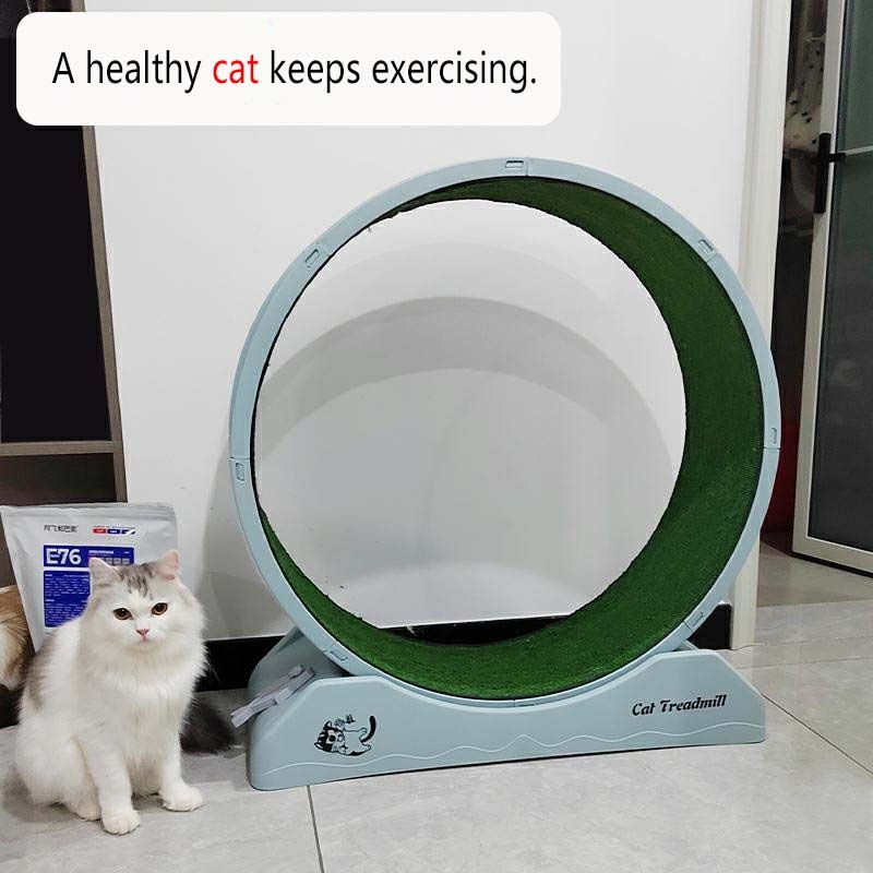 Big Cat Treadmill Wheel: Ultimate Cat Exercise & Running Machine